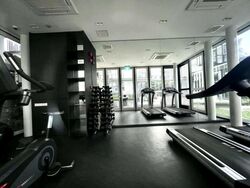 The Verandah Residences (D5), Apartment #482890041